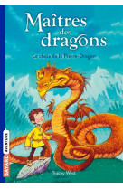 Maitres des dragons, tome 01 - le pouvoir du dragon de terre