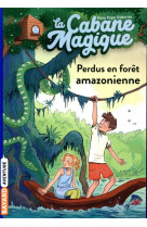 La cabane magique, tome 05