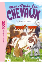 Mes amis les chevaux - sophie thalmann - t39 - mes amis les chevaux 39 - la chasse au tresor