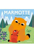 Marmotte