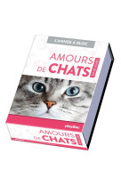 Calendrier amours de chats en 365 jours - l'année à bloc