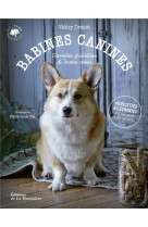 Babines canines. pates, gamelles, friandises et toutou cakes (40 recettes allechantes a mettre entre