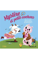 Mystere et petits cochons - t02 - qui a vole les bonbons de nanette ?