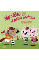 Mystere et petits cochons - t03 - ou sont passees les chaussettes de petillette ?