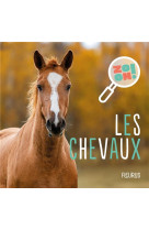 Les chevaux