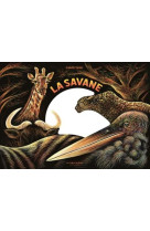 La savane, une nuit...