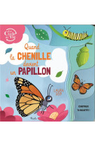 Quand la chenille devient un papillon - construis ta maquette !