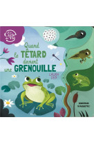 Quand le tetard devient une grenouille - construis ta maquette !