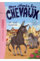 Mes amis les chevaux - sophie thalmann - t04 - mes amis les chevaux 04 - un rival inattendu