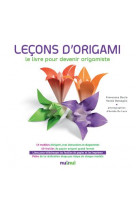Lecons d-origami - le livre pour devenir origamiste