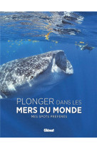 Plonger dans les mers du monde - mes spots preferes