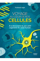 Voyage au coeur de nos cellules