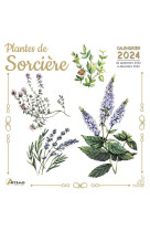 Calendrier plantes de sorciere 2024