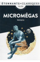 Micromegas