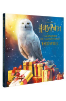 Calendrier de l-avent hedwige harry potter