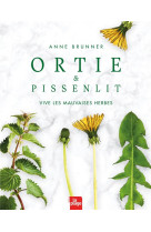 Ortie et pissenlit