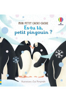 Es-tu la, petit pingouin ? - mon petit cache-cache