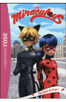 Miraculous - t02 - miraculous 02 - un chat de trop !