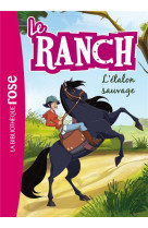 Le ranch - t01 - le ranch 01 - l-etalon sauvage