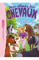 Mes amis les chevaux - sophie thalmann - t35 - mes amis les chevaux 35 - l-anniversaire de sophie