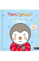 Non ! youpi ! toutes les emotions de t-choupi