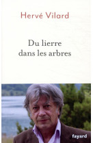 Du lierre dans les arbres