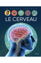 Le cerveau