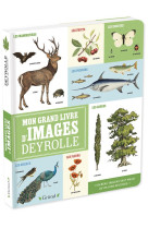 Mon grand livre d-images deyrolle