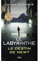 Le labyrinthe : le destin de newt