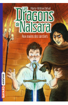 Les dragons de nalsara, tome 10 - aux mains des sorciers