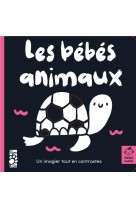 Les bebes animaux