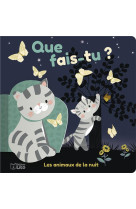 Que fais tu -  anim de la nuit