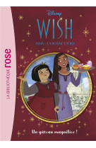 Wish, asha et la bonne etoile - t03 - wish, asha et la bonne etoile 03 - un gateau magnifico !