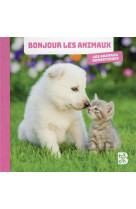 Les animaux domestiques