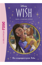 Wish, asha et la bonne étoile 05 - un compagnon pour asha