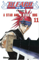 Bleach - tome 11 - a star and a stray dog