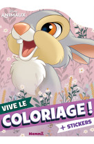 Disney animaux - vive le coloriage ! (grand panpan)