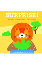 Je vois les animaux sauvages / surprise