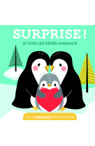 Je vois les bébés animaux / surprise