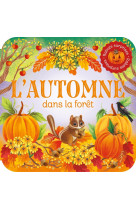 Rabats surprises   l'automne dans la forêt