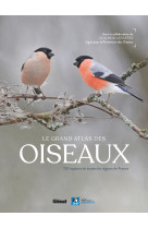 Le grand atlas des oiseaux