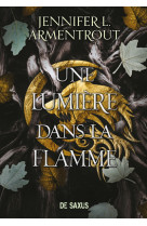 La chair et le feu (broché) - tome 02 une lumière dans la flamme