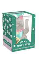 Coffret mini lucky cat argenté