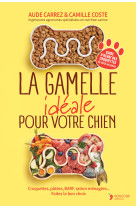 La gamelle idéale pour votre chien