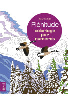 Plénitude - coloriage par numéros