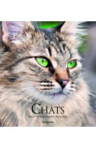 Chats