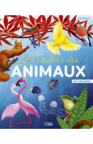 Couleur des animaux beau livre