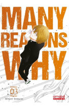 Many reasons why - tome 3 (vf)