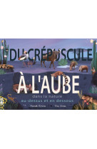 Au-dessus et en-dessous... du crépuscule à l'aube (provisoire)