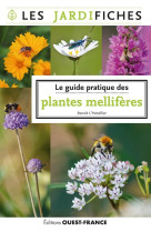 Le guide pratique des plantes mellifères